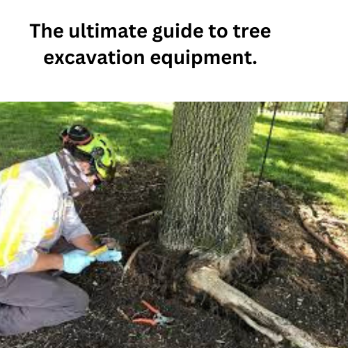 The Ultimate Guide to Tree Excavation Equipment