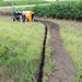 Brave pro bed edger bed sculptor creating a furrow in a field with rows of crops in the background.