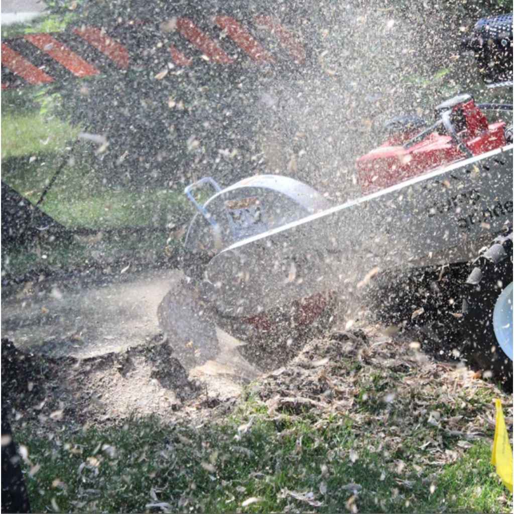Close-up of a dosko self propelled stump grinder in action with snow being blown