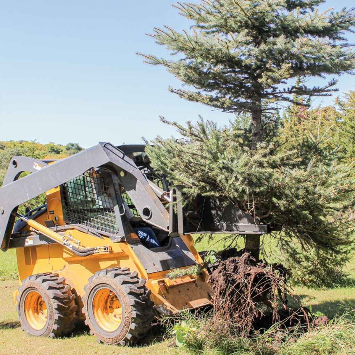 Skid steer loader with a Greywolf tree puller attachment working in a forested area.