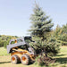 Skid steer loader lifting a large Christmas tree with a greywolf tre puller attachment in an outdoor setting