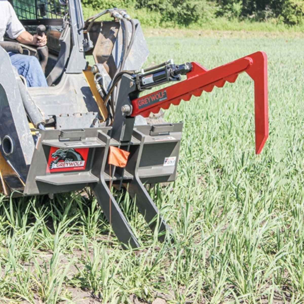 Greywolf rock devil in a field