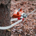 Red and silver superhandy capstan winch attached to a tree with a rope, on a forest floor.